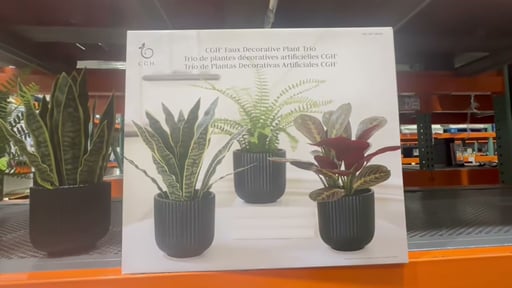 C.G. Hunter Faux Decorative Plant Trio