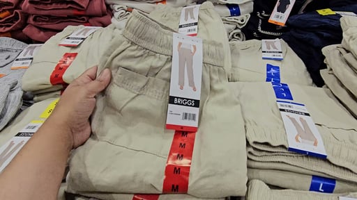 Briggs Women's Linen Blend Pant
