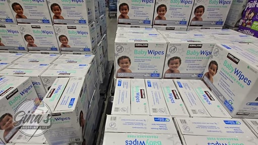 Kirkland Signature Fragrance Free Baby Wipes, 900 Count