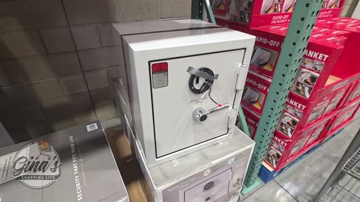 Sanctuary Reserve 1.69 Cu. Ft. Home & Office Safe with Electronic Lock