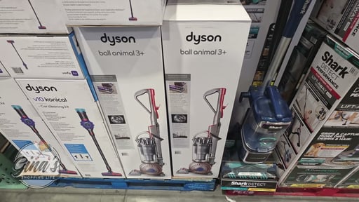 Dyson Ball Animal 3+ Upright Vacuum