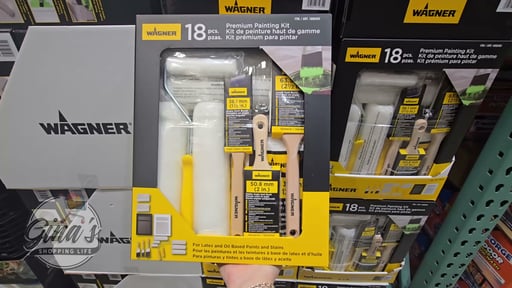 Wagner 18-Piece Paint Set