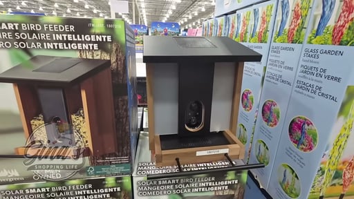 Solar Smart Bird Feeder