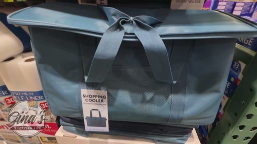 KeepCool Insulated Bag - Robin