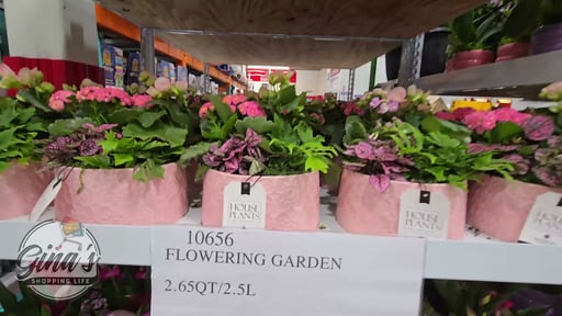Flowering Garden 3 Qt / 2.8L (8" Pot)
