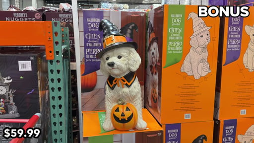 Halloween Dog Greeter