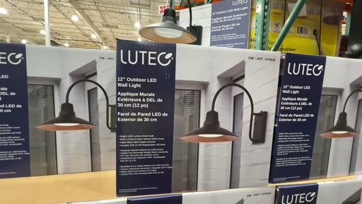 LUTEC 12" Wall Light
