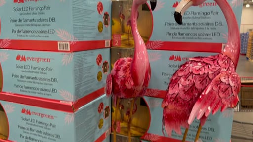 Evergreen Solar LED Metal Flamingo Statue Pair