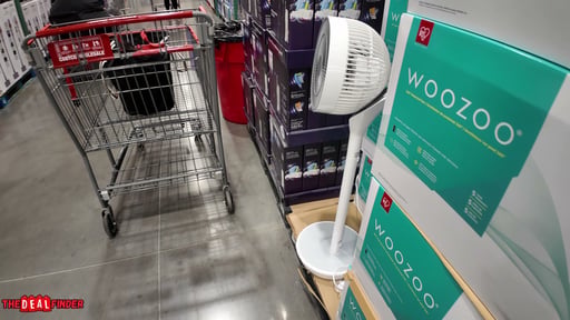 Woozoo 360° Pedestal Air Circulator