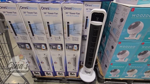 OmniBreeze Tower Fan