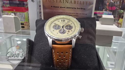 Citizen Eco-Drive Weekender Leather Men's Watch