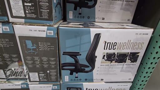 TrueWellness All Mesh Office Chair