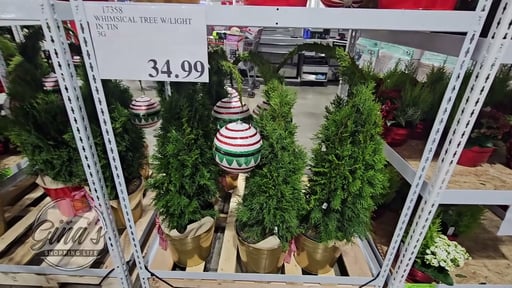 Whimsical Tree with Light in Tin 8.5 Qt/8L