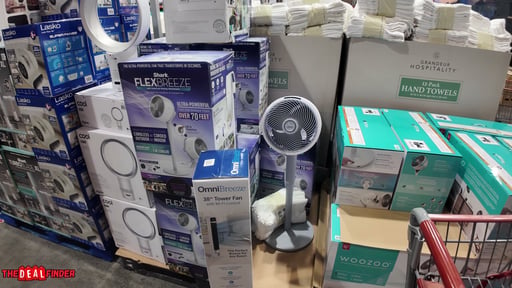 Woozoo 360° Pedestal Air Circulator