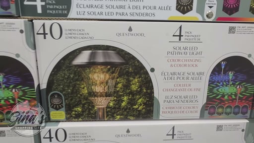Questwood Solar Pathway Color Changing Lights 4pk