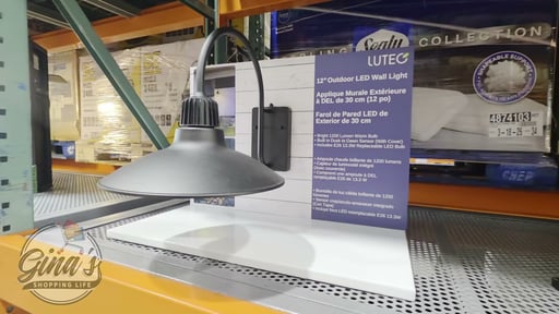 LUTEC 12" Wall Light