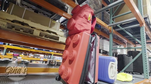 Lego Trolley Carry On & Backpack
