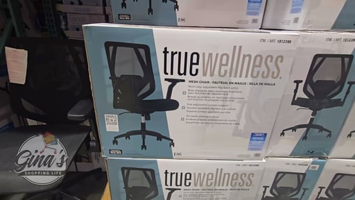 TrueWellness All Mesh Office Chair