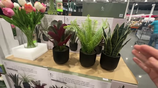 C.G. Hunter Faux Decorative Plant Trio