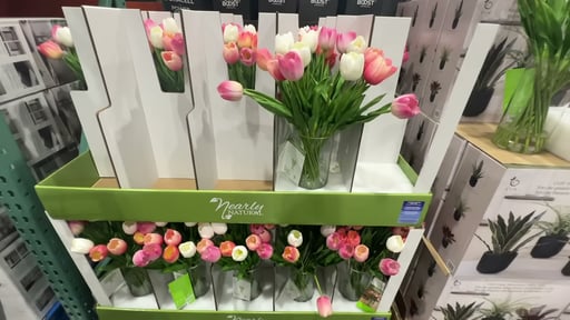Tulip Arrangement