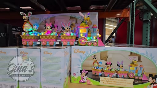 Disney Spring Train