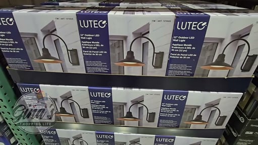 LUTEC 12" Wall Light