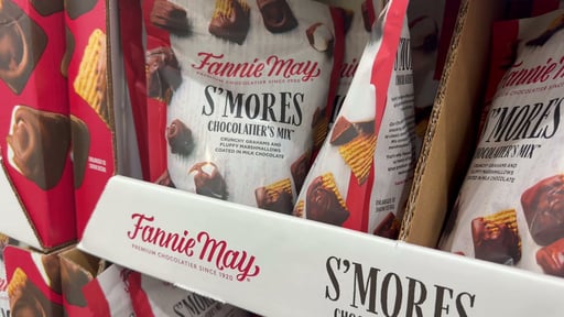 Fannie May S'mores Snack Mix 18 oz