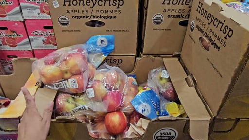 Organic Honeycrisp 4 lbs