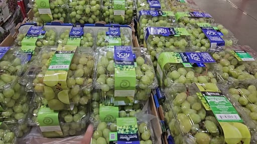 Green Seedless Grapes