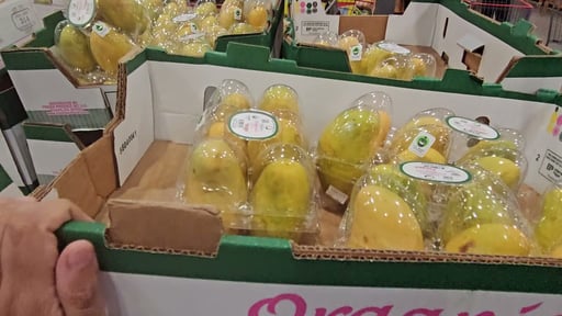 Organic Ataulfo Mangos