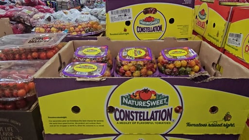 Symphony Gourmet Tomato Medley Hothouse Grown 2 lbs
