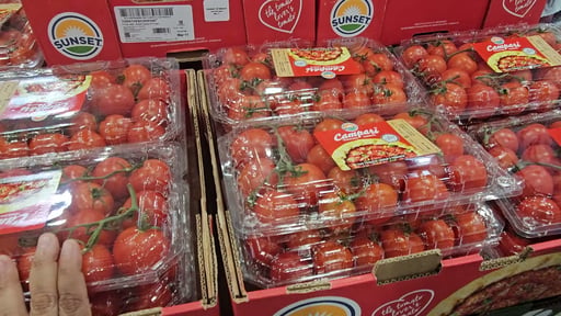 Campari Tomatoes Hothouse Grown
