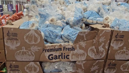 Garlic