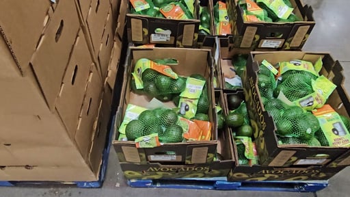 Avocados, Hass Variety, 6 Count