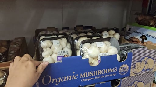 Organic Mushrooms Premium Large White 24oz