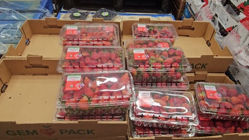 Organic Strawberries 2 lbs