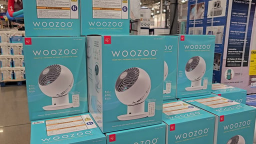 Woozoo 5-Speed Globe Fan