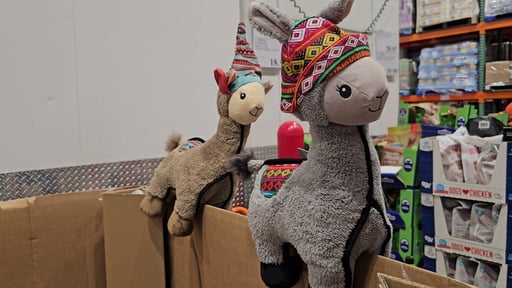 Delca Land of the Llamas Jumbo Plush Dog Toy
