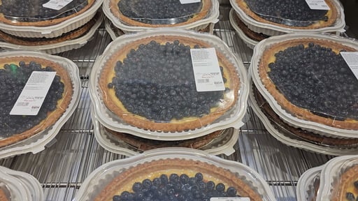 Blueberry Custard Pie