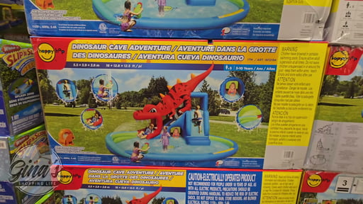 Dinosaur Cave Adventure Waterpark