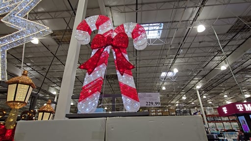 72" Candy Canes with LED Twinkle Lights