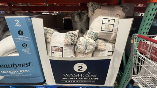 Town & Country Living WashLuxe Decorative Pillow 2-Pack