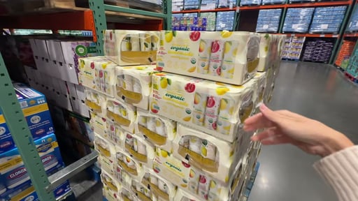 Langer's Sparkling Lemonade, 24 x 12 oz Cans