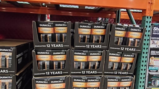 Duracell Power Boost Alkaline AAA Batteries 40-Pack