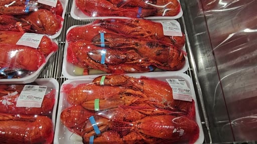 Whole Cooked Lobster
