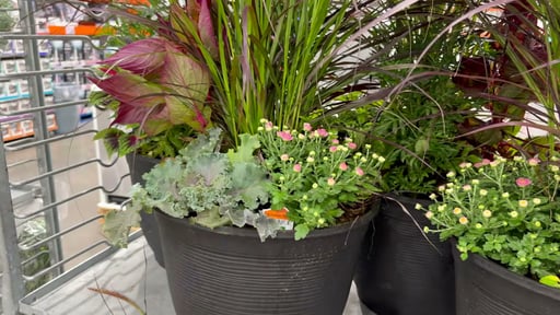 16" Fall Combo Planter