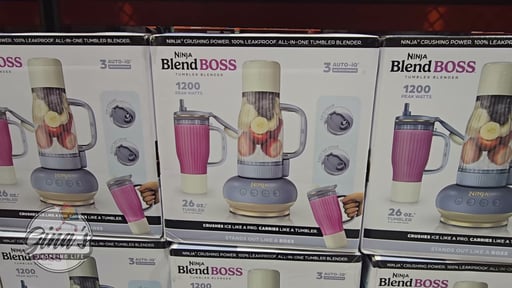 Ninja BlendBoss Single Serve Blender