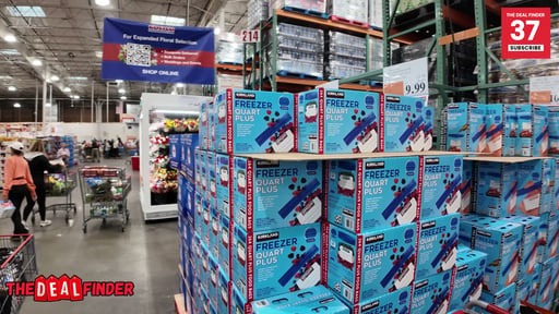 Kirkland Signature Freezer Quart Plus Bags, 6 Boxes of 44 Count (Total 264)