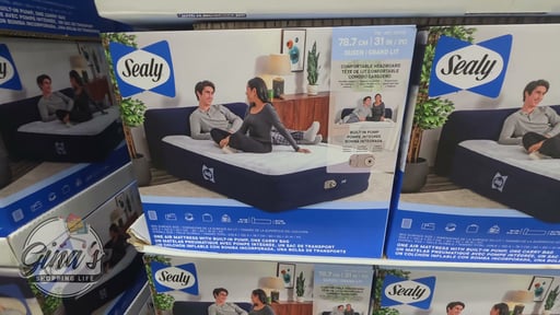 Sealy Queen Airbed with Headboard