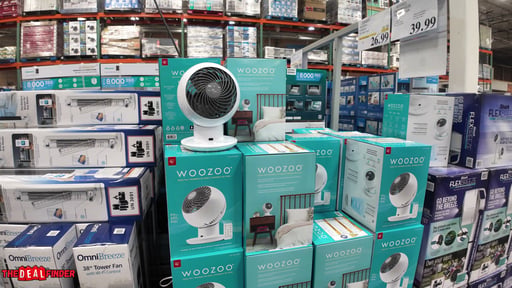 Woozoo 5-Speed Globe Fan